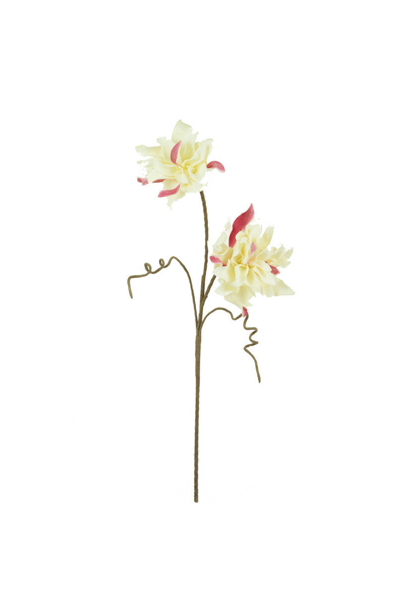 botanica - 6 Stems