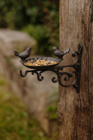 Songbird Bird Feeder