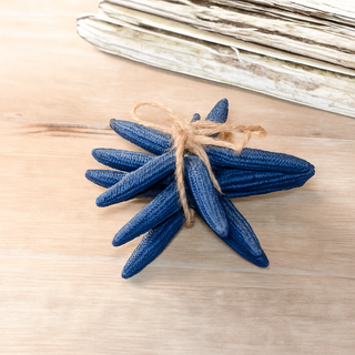 Blue Starfish - Bundle of 3