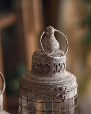 Chasity Lantern - Small