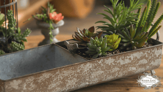 Divided Tray with Songbird