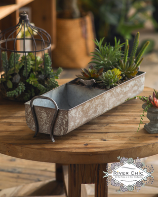 Divided Tray with Songbird