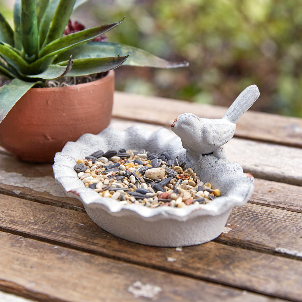 Mini Bird Feeder Dish - Box of 2