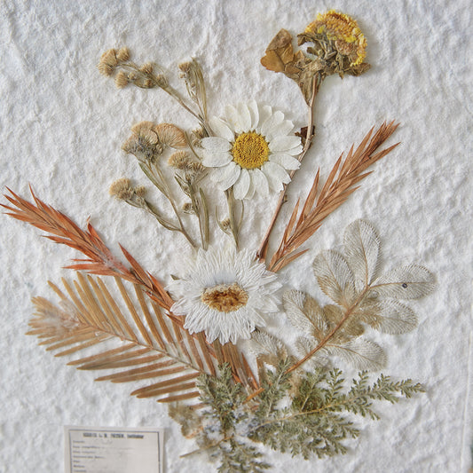 Gilded Pressed Botanical Stand - Corydalis and Chrysanthemum