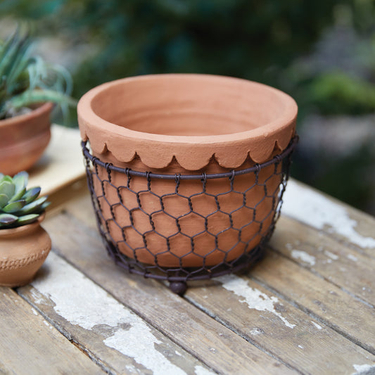 Chicken Wire Caddy with Scalloped Terra Cotta Pot