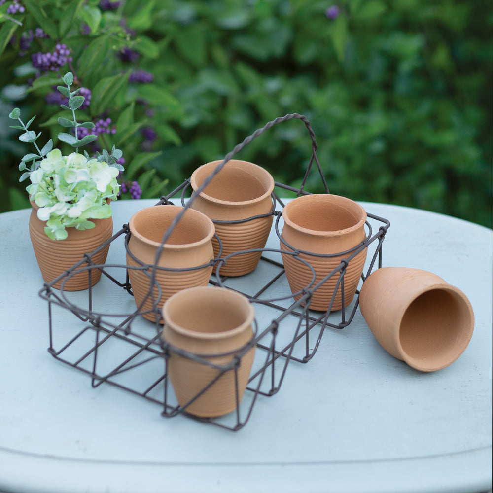 Wire Caddy with Six Miniature Terra Cotta Pots