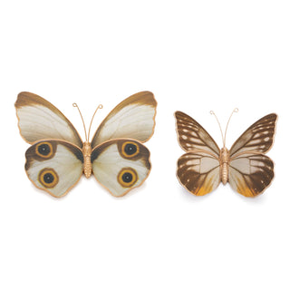 Set of 2 Butterflies