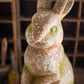 Rustic Rabbit with Head Forward