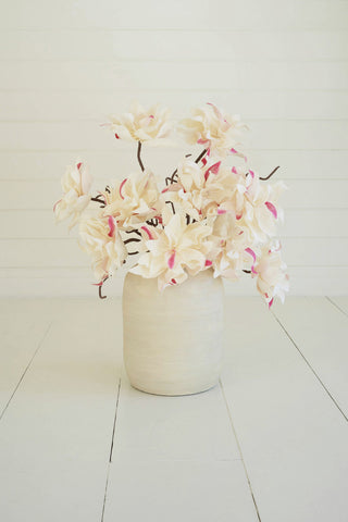 botanica - 6 Stems