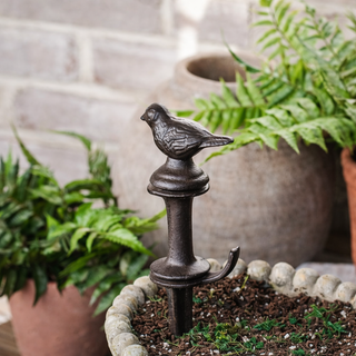 Songbird Hose Guide