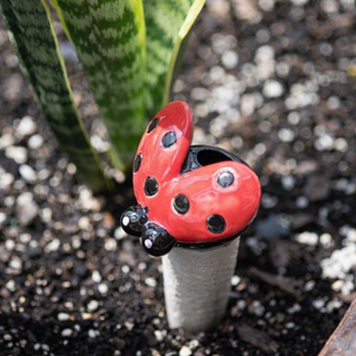 Secret Garden Ladybug Pot Stake - Set of 2