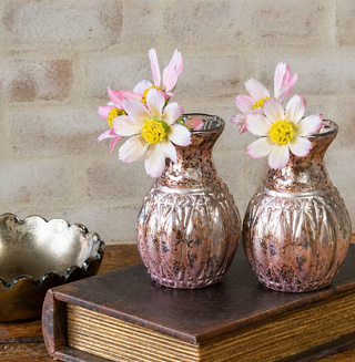 Mini Coral Bud Vase (set of 2)  - 3.75"