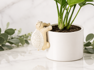 Turtle Pot Hanger - Set of 4