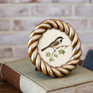 Golden Rope Round Frame 4x4