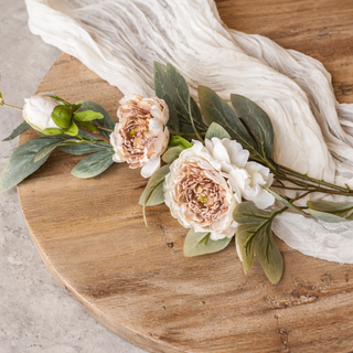 Cream & Brown Peony Stem - 35"
