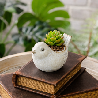 Tan and White Bird Succulent Pot (Set of 2 )