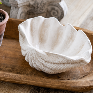 White Cement Claim Shell Bowl - 10"