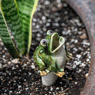 Secret Garden Frog Pot Stake - Set of 2