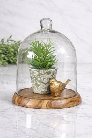 Willow Ridge Glass Cloche