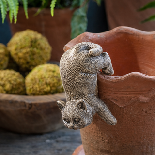 Playful Kitten Pot Hanger - Set of 4