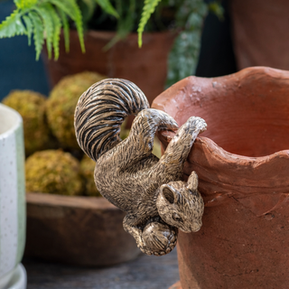 Playful Squirrel Pot Hanger - Set of 4