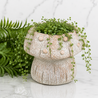 Verdi Copper Mushroom Planter - 7"