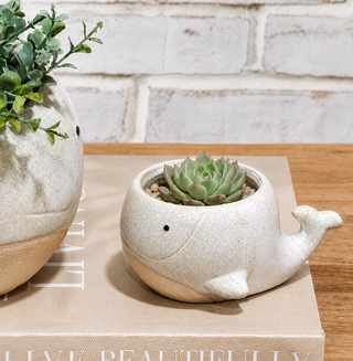 Beige Whale planter - 4"  (Set of 2)