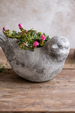 Large Old World Garden Bird Planter  - 12.8"