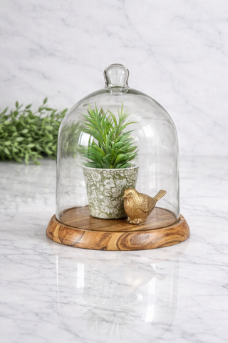 Willow Ridge Glass Cloche