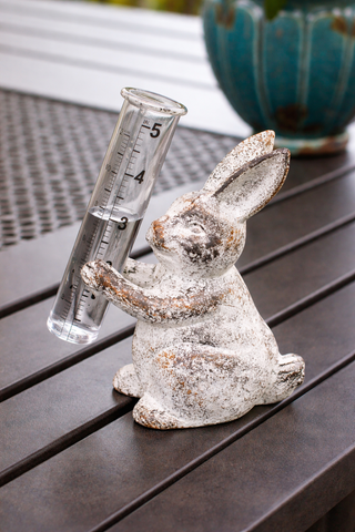 Bunny Rain Gauge