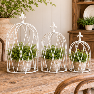 Secret Garden Cloche Topiary Set (set of 3)