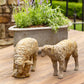 Country Sheep Family, Set of 2