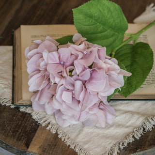 Soft Touch Light Pink Hydrangea Stem - 19"