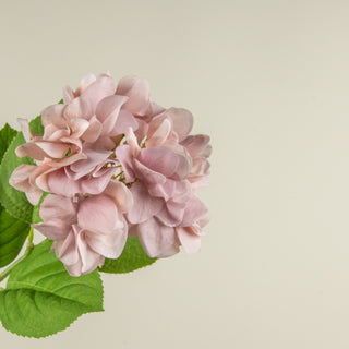 Soft Touch Light Pink Hydrangea Stem - 19"