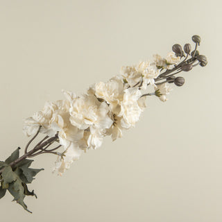 Cream Larkspur Stem - 31.5"