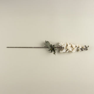 Cream Larkspur Stem - 31.5"
