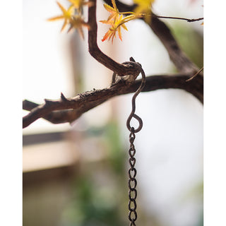 Secret Garden Birdfeeder