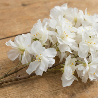 White Cherry Blossom Spray- 33"