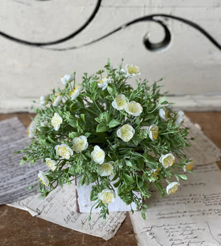 Evening Primrose Half Sphere | 12"