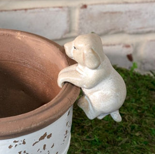 Hanging Puppy