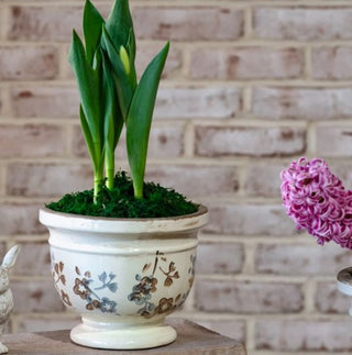 5.5" BEIGE/BLUE FLORAL PATTERN POT