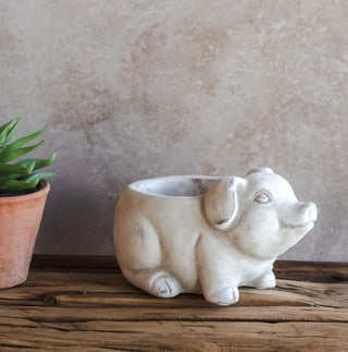 White Pig Planter