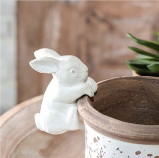 Climbing Bunny Pot Hanger