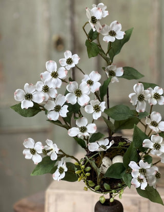 Dressage Dogwood Pick | 18"