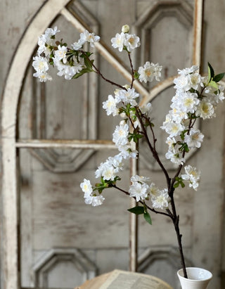 Acclamation Blooms | 36" | Cream