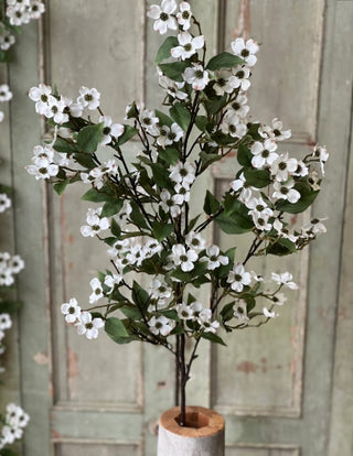 Dressage Dogwood Spray | 41.5"
