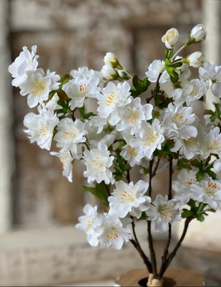 Chilton Blooms | 16"