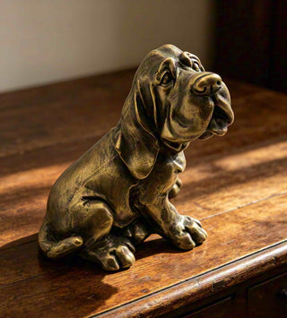 Beau the Basset Hound