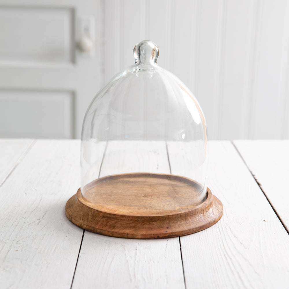 Small Glass Bell Shaped Cloche with Wood Base - River Chic Designs