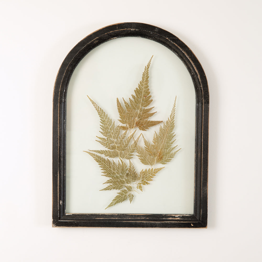 Black Arched Botanical Wall Décor